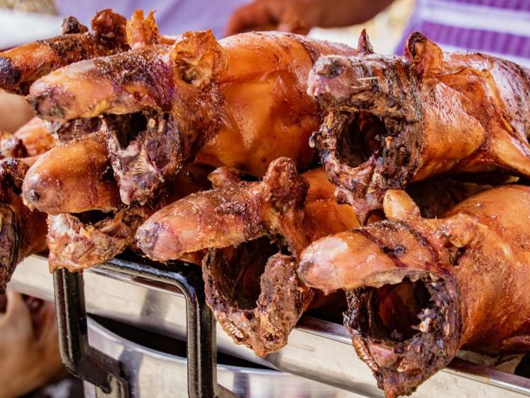 10 Makanan Enak yang Wajib Dicoba Minimal Sekali Seumur Hidup