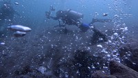Gunung api bawah laut yang berada di kedalaman sekitar 10 meter tersebut hingga kini masih aktif dan menjadi salah satu lokasi paling diminati oleh penyelam domestik maupun mancanegara.