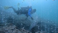 Potret Gunung Api Bawah Laut di Aceh yang Jadi Idola Penyelam