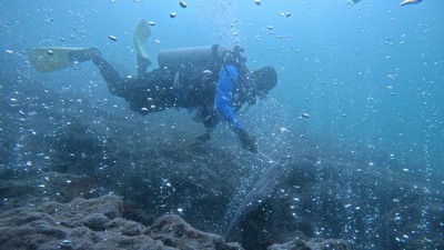 Potret Gunung Api Bawah Laut di Aceh yang Jadi Idola Penyelam
