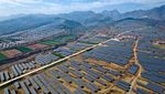 Potret Pegunungan di China yang Diselimuti Ladang Panel Surya