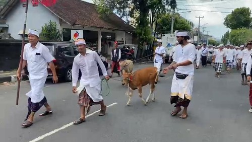 Prosesi mapepada sebagai bagian dari pelaksanaan Tawur Kesanga menjelang hari suci Nyepi Tahun Saka 1945 di Kabupaten Tabanan, Senin (20/3/2023). (istimewa)