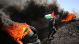 Protes Pertemuan Pejabat Israel-Palestina di Mesir, Warga Bakar Ban