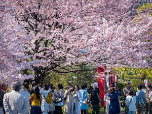 Beasiswa S1 ke Jepang GAKUBU MEXT 2024 Tutup 15 Mei, Yuk Buruan Daftar