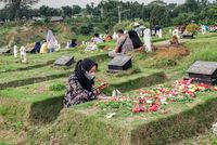 Menanam Tanaman Di Atas Makam Dapat Meringankan Siksa? Ini Haditsnya