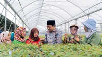 Kolaborasi ini juga menitikberatkan pada pelaksanaan program penurunan angka kemiskinan ekstrem, penurunan prevalensi stunting, peningkatan akses pada sarana kesehatan, peningkatan kualitas pendidikan, dan pelestarian lingkungan di tingkat desa di Provinsi Riau.