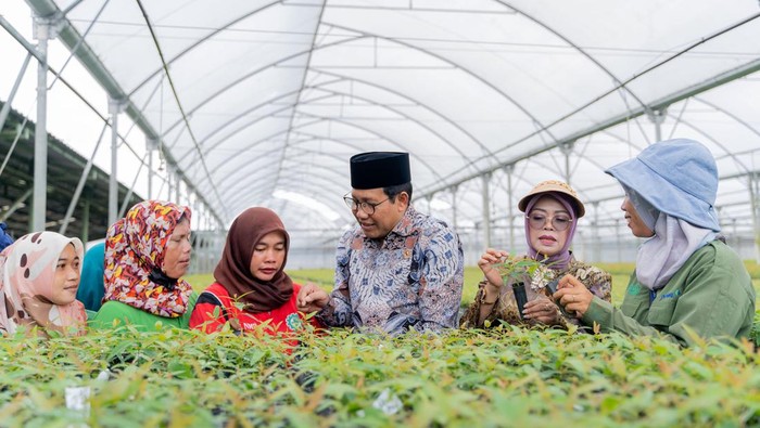 Tingkatkan Kesejahteraan dan Pemberdayaan Masyarakat Desa Kolaborasi RAPP bersama Kemendes PDTT ini dilakukan untuk meningkatkan kesejahteraan dan pemberdayaan masyarakat desa di kawasan hutan di Riau.