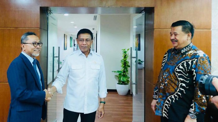 Wiranto dan Ketua Umum PAN Zulkifli Hasan (dok. Istimewa)