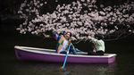 Asyiknya Warga Jepang Kayuh Perahu di Bawah Pohon Sakura yang Mekar
