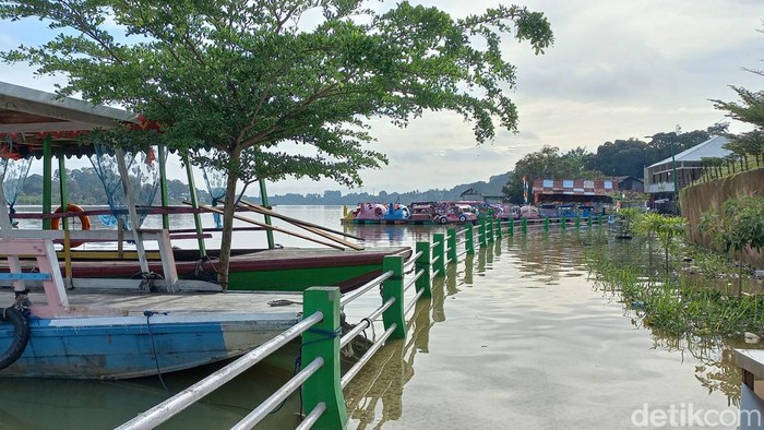 Banjid di Danau Sipin Jambi (Dimas Sanjaya/detikSumut)