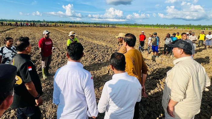 Presiden Jokowi meninjau lumbung pangan atau food estate dalam kunjungan kerjanya di Kabupaten Keerom, Provinsi Papua.
