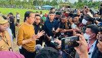 Presiden sendiri menilai bahwa kebutuhan jagung untuk suplai pakan ternak di Papua sendiri masih kurang, baik untuk ayam petelur, ayam pedaging, maupun untuk babi dan sapi. Oleh karena itu, Presiden mendorong agar hasil dari penanaman jagung di food estate tersebut dimanfaatkan secara maksimal untuk memenuhi kebutuhan pakan ternak di Papua. 