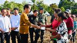 Bareng Prabowo, Jokowi Cek Food Estate di Keerom Papua