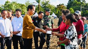 Bahagianya Mama-mama Papua saat Jokowi Kunjungi Pasar Youtefa