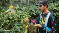Hutan memberikan berbagai manfaat bagi kesehatan manusia, baik fisik maupun mental. Hutan melindungi daerah aliran sungai dan mengeratkan tanah sehinga mengurangi erosi, membantu menjaga kualitas dan kuantitas sumber daya air. Mereka bertindak sebagai filter alami dengan menyerap dan memurnikan air.