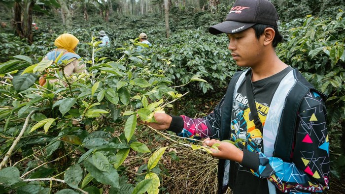 Hari ini adalah Hari Hutan Internasional. Tema yang diangkat tahun ini adalah 
