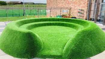 Rumput ini seperti sengaja ditempelkan di foto. Foto: Boredpanda
