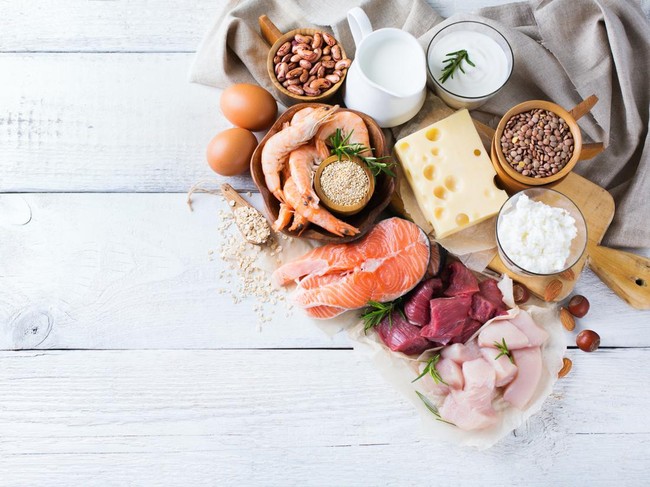 Ilustrasi protein hewani