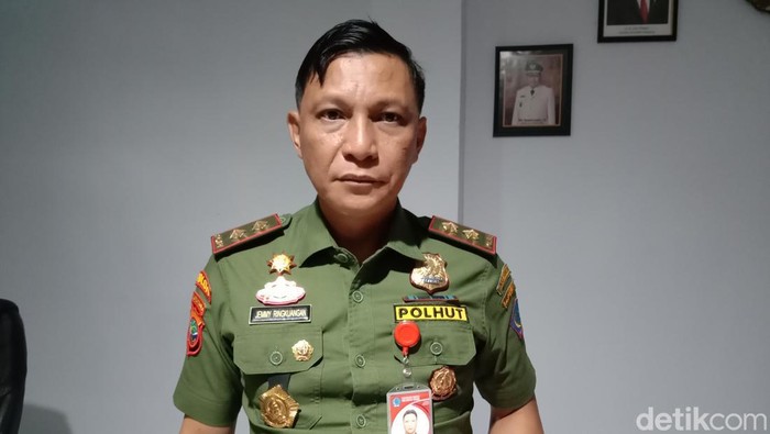 Kepala Dishut Sulut Jemmy Ringkuangan.