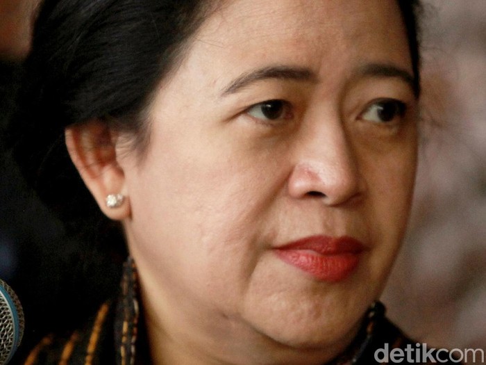 Ketua DPR RI Puan Maharani yang juga anak dari Presiden RI ke-5 Megawati Soekarnoputri.