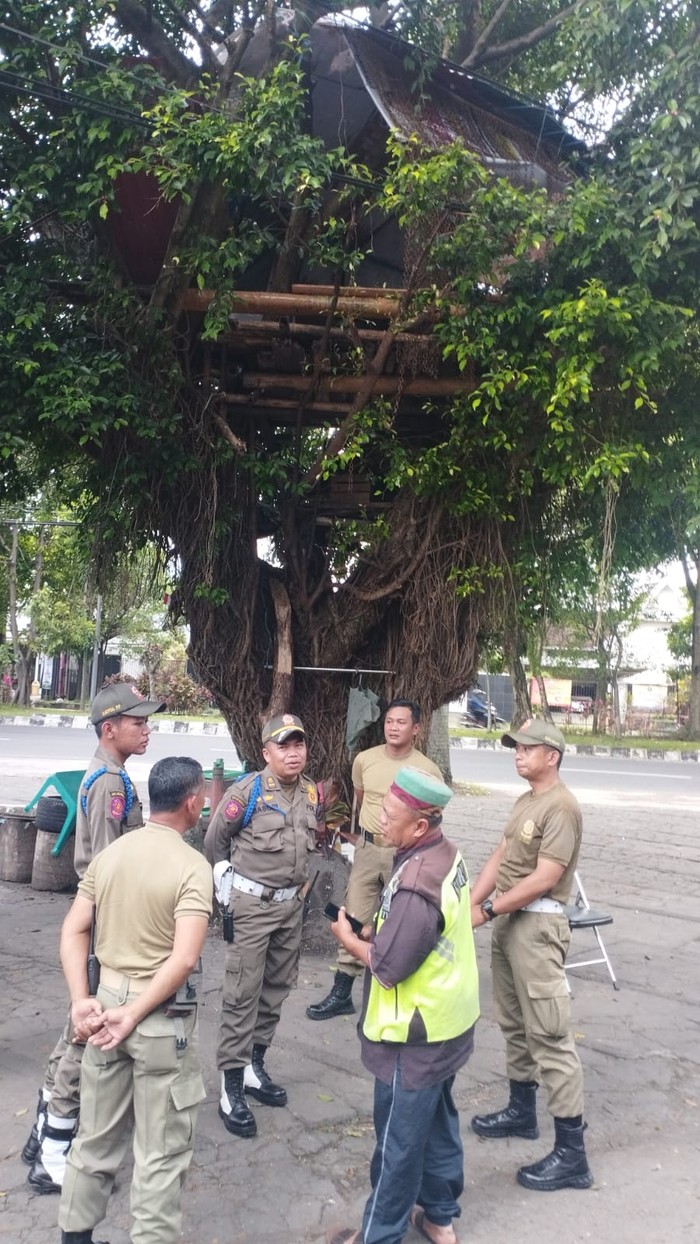 rumah pohon di kota malang