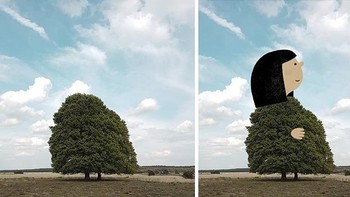 Pohonnya dipergunakan sebagai pakaian seorang gadis sekarang. Foto: (Bored Panda).