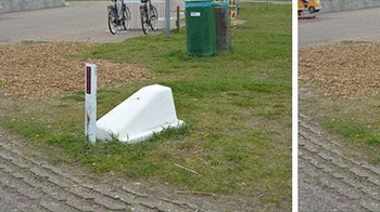 Jadi angsa dong. Foto: (Bored Panda).