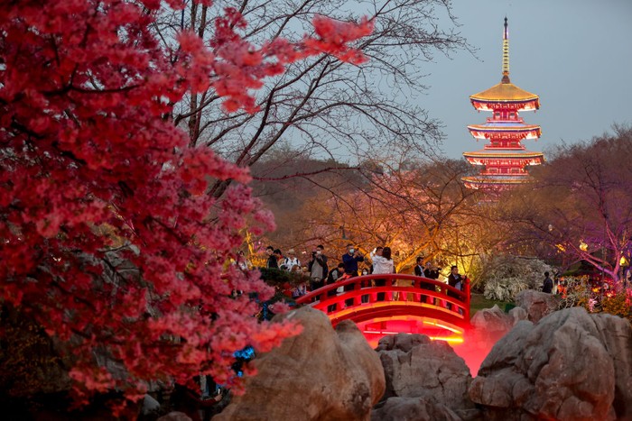 WUHAN, CHINA - MARCH 09: Tourists visit East Lake Cherry Blossom Park at night on March 9, 2023 in Wuhan, Hubei Province of China. East Lake Cherry Blossom Park in Wuhan launches night tour for tourists. (Photo by Zhang Chang/China News Service/VCG via Getty Images)