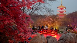 Sensasi Tur Malam di Taman Bunga Sakura Wuhan