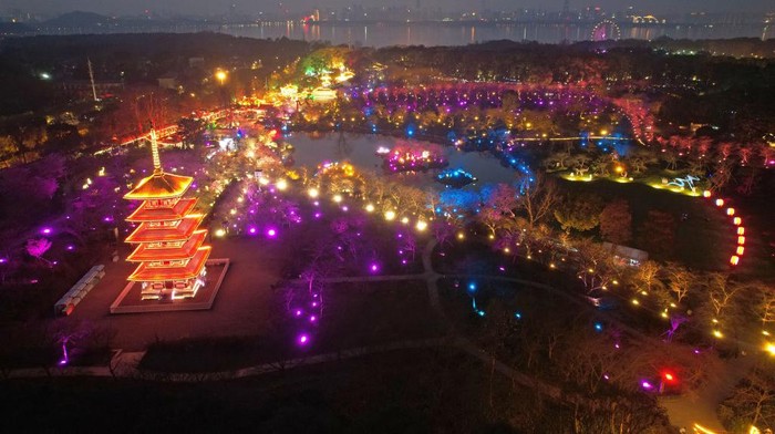 WUHAN, CHINA - MARCH 09: Tourists visit East Lake Cherry Blossom Park is illuminated at night on March 9, 2023 in Wuhan, Hubei Province of China. East Lake Cherry Blossom Park in Wuhan launches 'night tour' for tourists. (Photo by VCG/VCG via Getty Images)