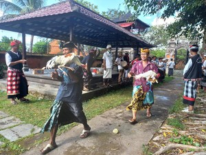 Menyucikan 17 Hewan untuk Tawur Kesanga Jelang Nyepi