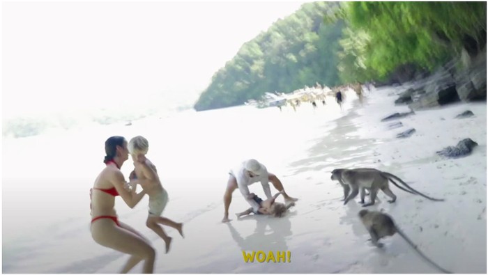 Turis dikoroyok monyet di Monkey Beach