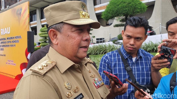 Wakil Gubernur Riau Edy Natar Nasution.