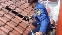 Cium Bau di Loteng Rumahnya, Warga Bogor Kaget Temukan Bangkai Ular