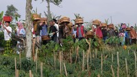 Berikutnya, ada tradisi Nyadran Arwah yang dilakukan warga di kawasan lereng Gunung Sumbing, Dusun Jekaton, Bulu, Temanggung, Jawa Tengah, Rabu (22/3/2023). Mereka terlihat membawa tenong berisi berbagai jenis makanan. Warga setempat rutin menggelar tradisi Nyadran Arwah satu hari menjelang bulan suci Ramadhan sebagai permohonan doa agar diberi kesehatan dan kelancaran menjalankan ibadah selama Ramadhan. ANTARA FOTO/Anis Efizudin