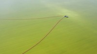 Danau garam ini memiliki warna hijau kehijauan karena komposisi kimia.