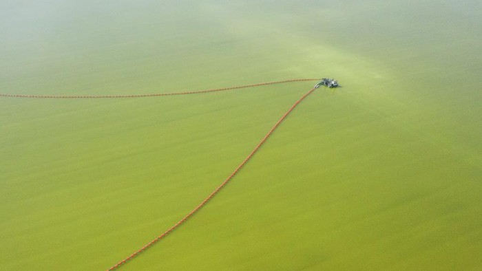 Penampakan Danau Garam Terbesar di China Danau Garam Qarhan merupakan danau garam terbesar di China. Danau ini memiliki warna hijau karena kompisisi kimia.
