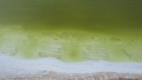Danau garam ini memiliki panjang lebih dari 160 kilometer dari timur ke barat, lebar 20-40 kilometer dari utara ke selatan, dengan ketebalan lapisan garam sekitar 2-20 meter dan ketinggian 2670 meter.  