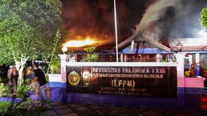 Potret Kebakaran Gedung LPPM Universitas Palangka Raya Dini Hari Tadi