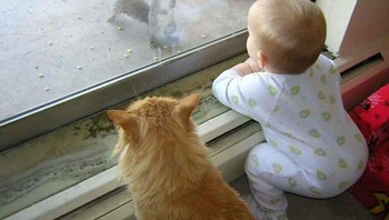 Kira-kira lagi ngobrolin apa ya mereka berdua? Foto: (Bored Panda).