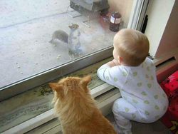 Potret Kucing Jadi Babysitter, So Sweet...