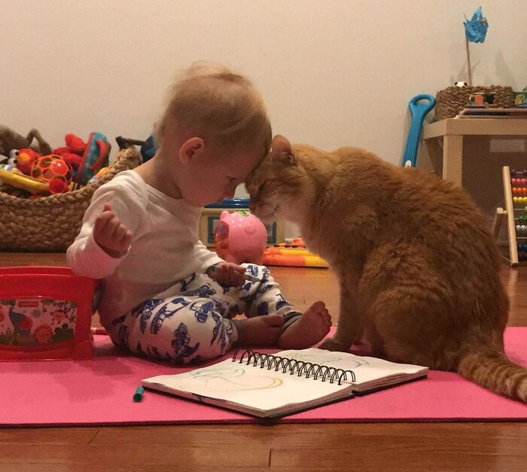 Ternyata kehadiran kucing bisa menemani si kecil di saat bermain atau tidur. Seperti deretan foto kucing jadi babysitter menggemaskan berikut.