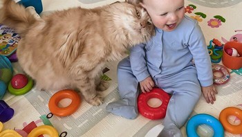 Kucingnya keliatan sayang banget sama dedek. Foto: (Bored Panda).