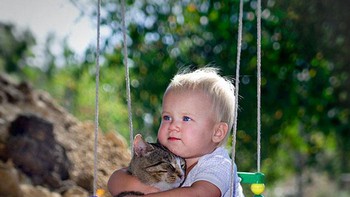 Gemesnya naik ayunan bareng-bareng. Terus dipeluk dong kucingnya. Foto: (Bored Panda).