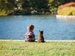 Potret Kucing Jadi Babysitter, So Sweet...