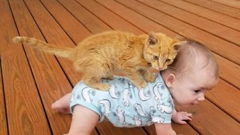 Yuk kita mau ke mana nih? Foto: (Bored Panda).