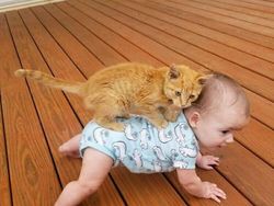 Potret Kucing Jadi Babysitter, So Sweet...