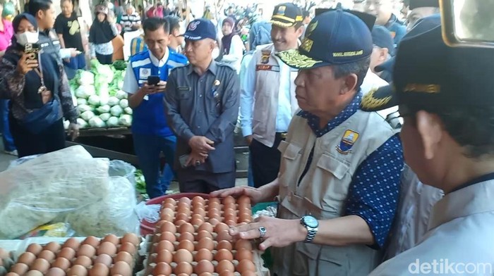 Wagub Jambi, Abdullah Sani cek harga sembako di pasar (Ferdi/detikSumut)
