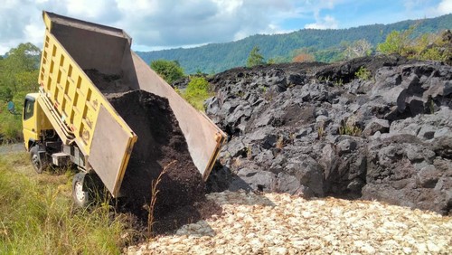 Penguburan ribuan bangkai ayam di Batur, Kintamani, Bangli, Kamis (23/3/2023). (Istimewa)