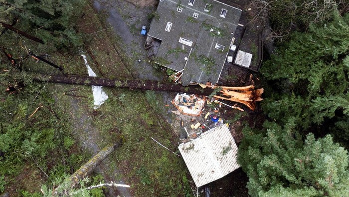 An aerial view of fallen trees enveloped a home after a severe windstorm in Boulder Creek, California, U.S., March 22, 2023. REUTERS/Matt Mills McKnight